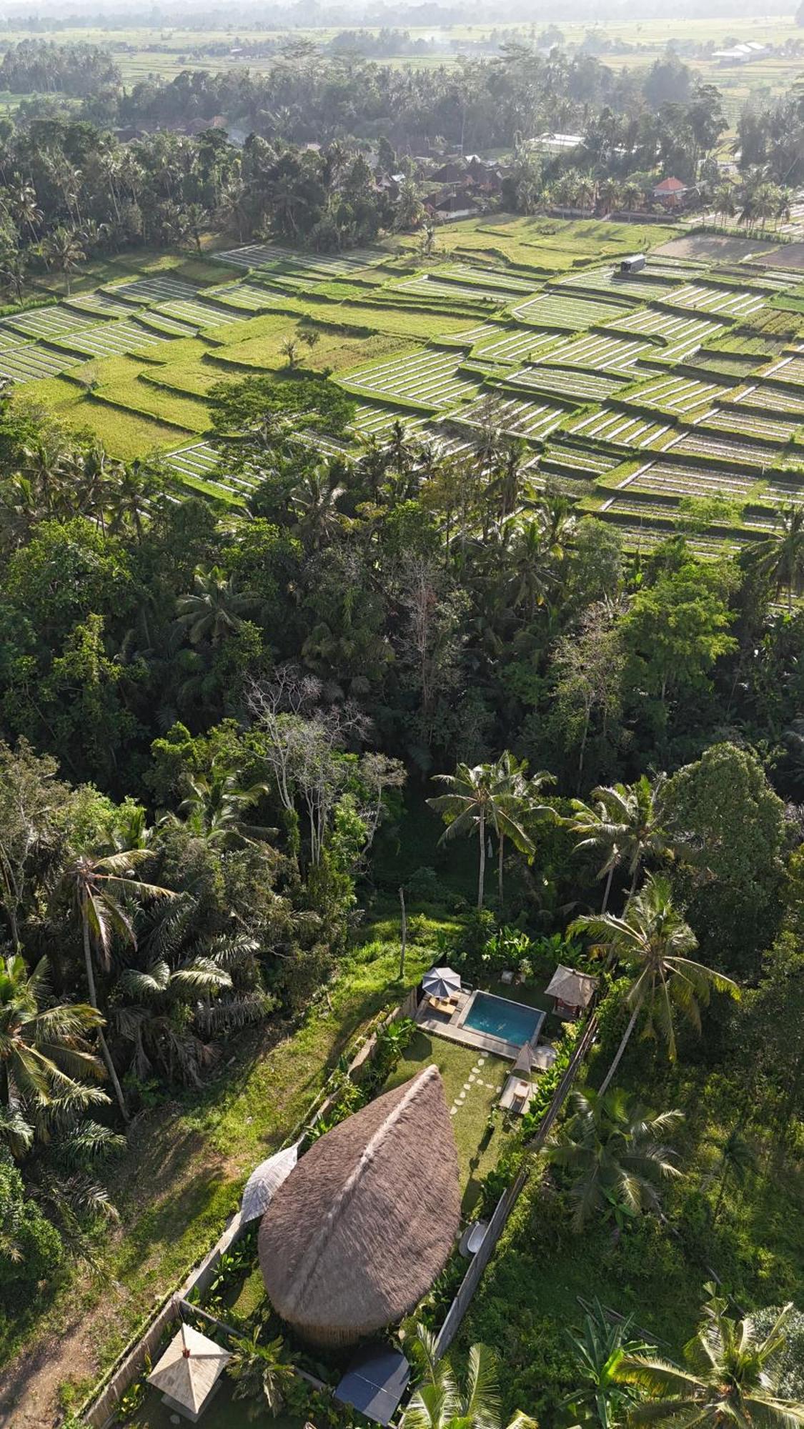 Pitu, A Punggul Village Escape Sangeh Kültér fotó
